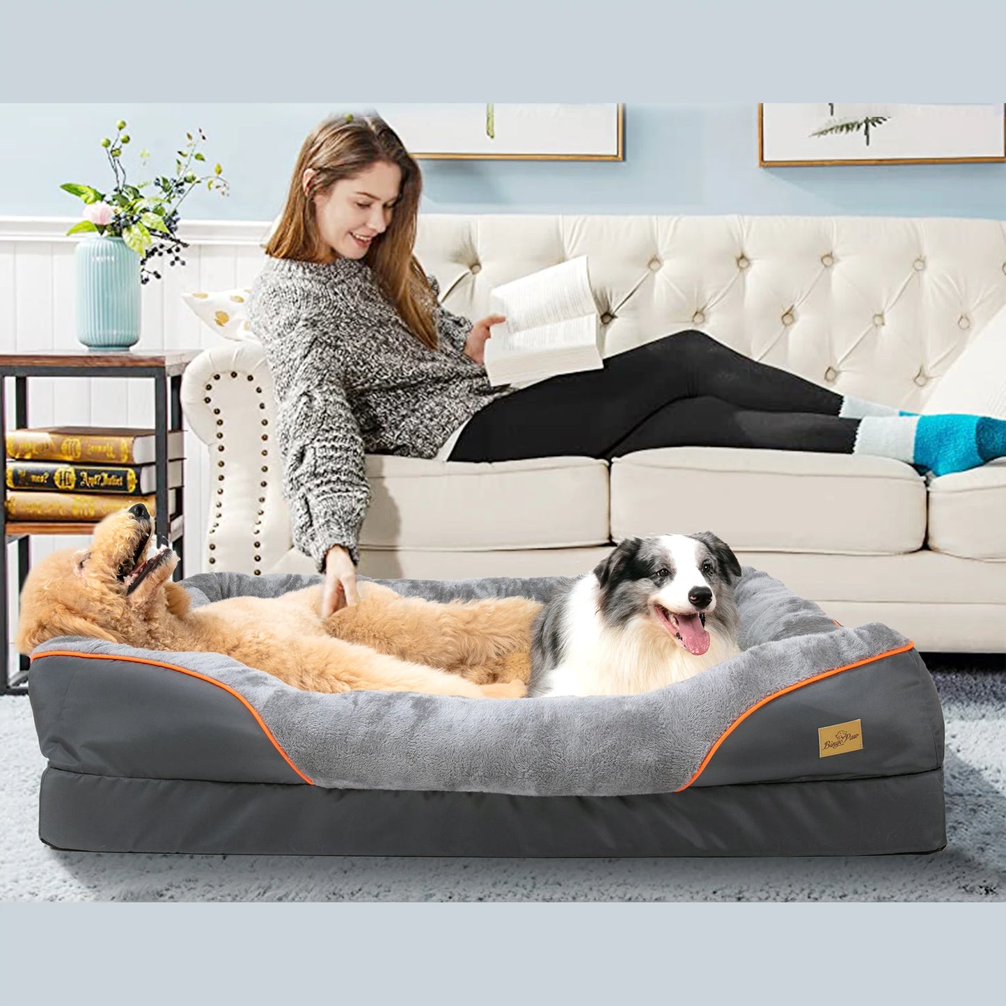 BINGOPAWCN Allergy Safe Dog Bed With Removable Washable Cover Waterproof