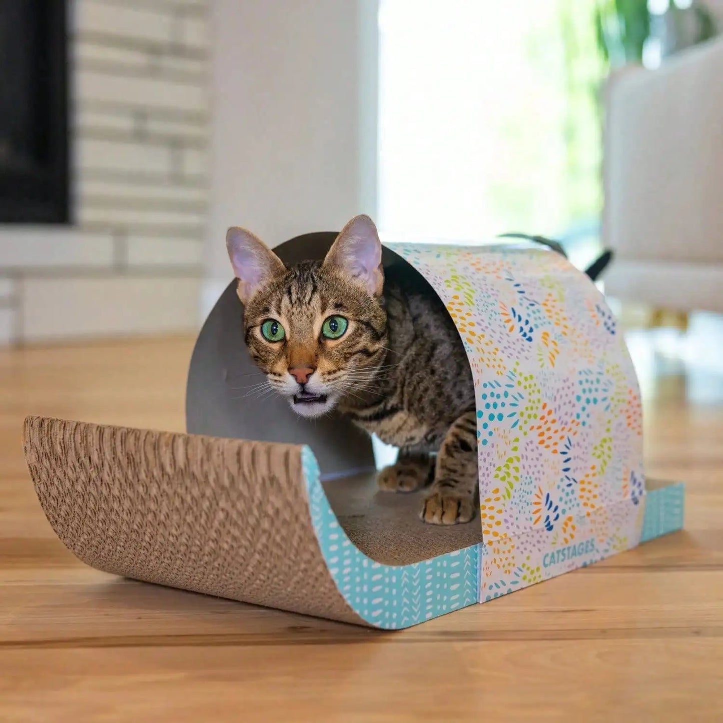 Detachable Cat Tunnel Toy With Cat Scratching Board And Feather Toy, Multi-Functional Cat Hole