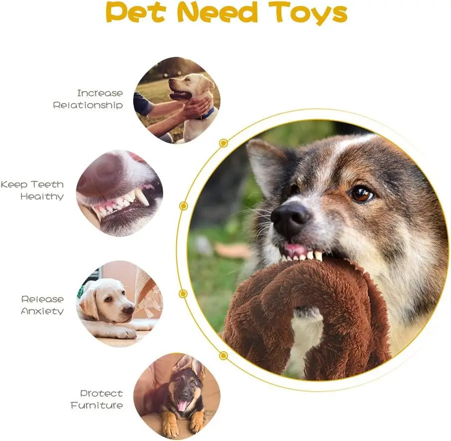 Durable Squeaky Dog Chew Toys for All Breeds, No Stuffing Plush Bundle for Teething and Play