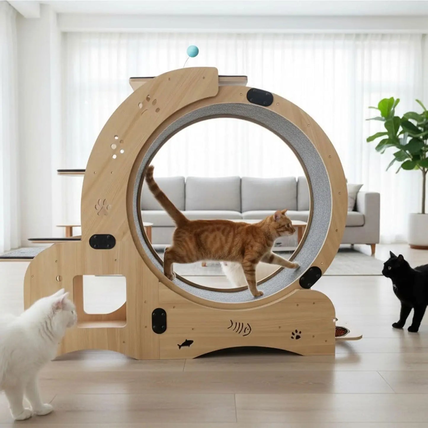 55" cat Wheel，cat Wheels for Indoor Cats，with Cat Bed, Scratching Board, Detachable Mat, Climbing Frame, Nest &, Customized