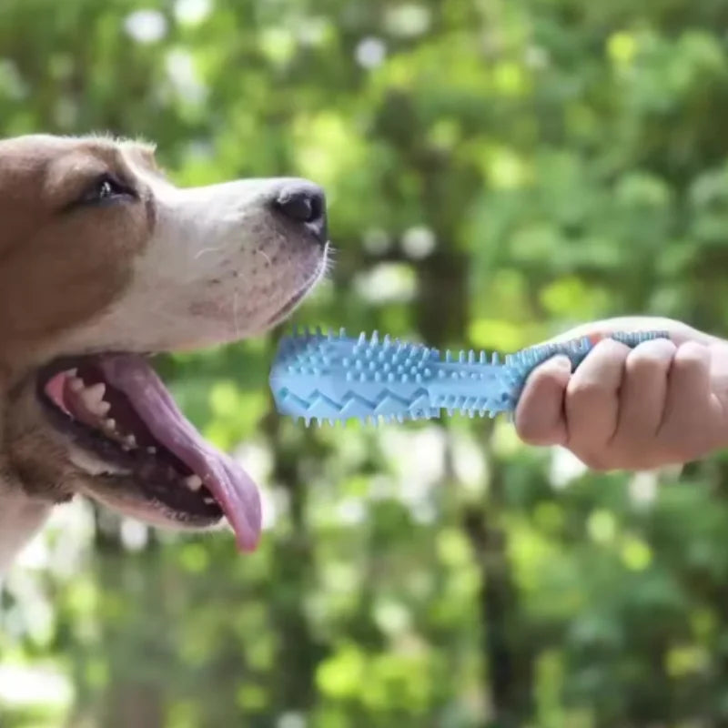 Puppy Teething Toy Dog Chew Stick Bite Resistant Leak Proof Food Dispenser Pet Teeth Cleaner Fun Chewer for Small Dogs