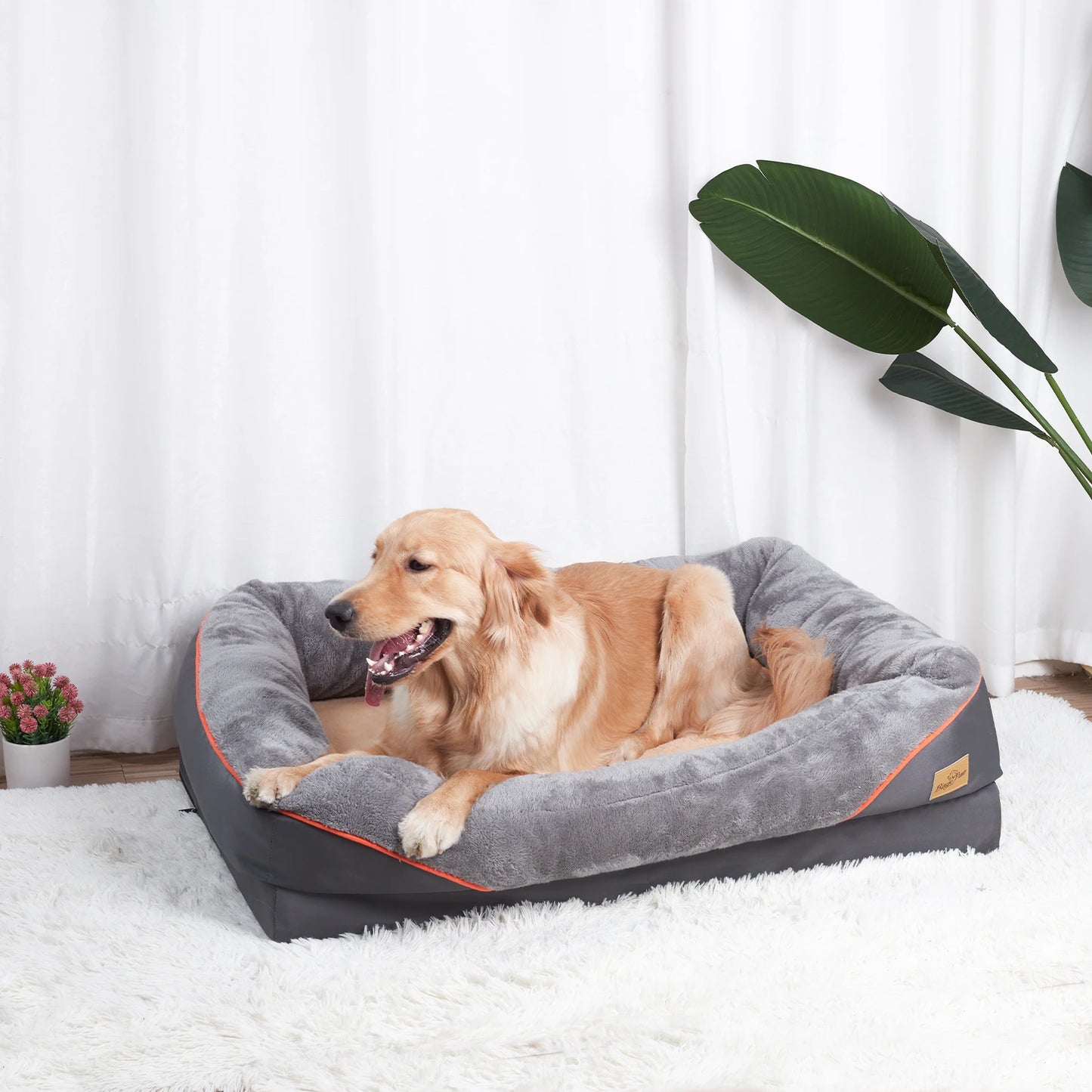 BINGOPAWCN Allergy Safe Dog Bed With Removable Washable Cover Waterproof